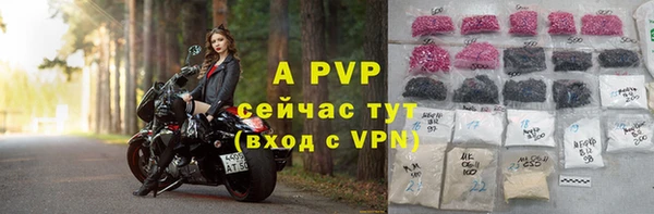 шишки Абаза
