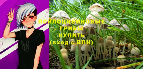 соль ск Абинск