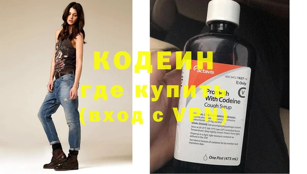 шишки Абаза