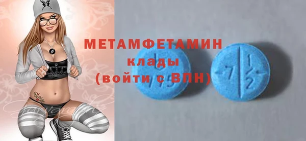 шишки Абаза