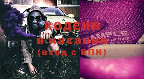 шишки Абаза