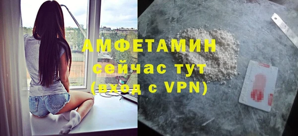 шишки Абаза