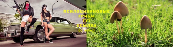spice Абдулино