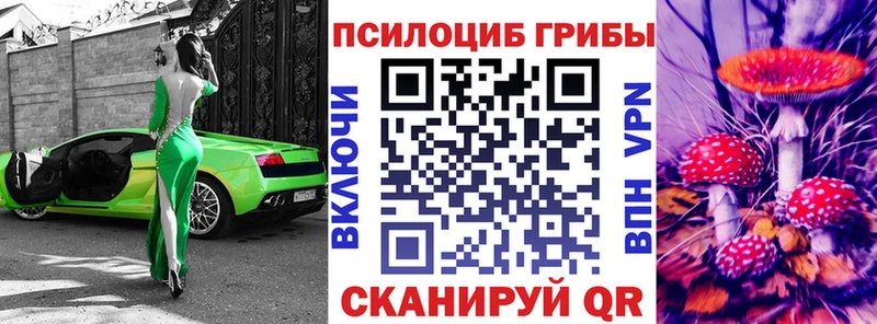 МЕГА как войти  Ленинградская  Галлюциногенные грибы Cubensis  как найти  